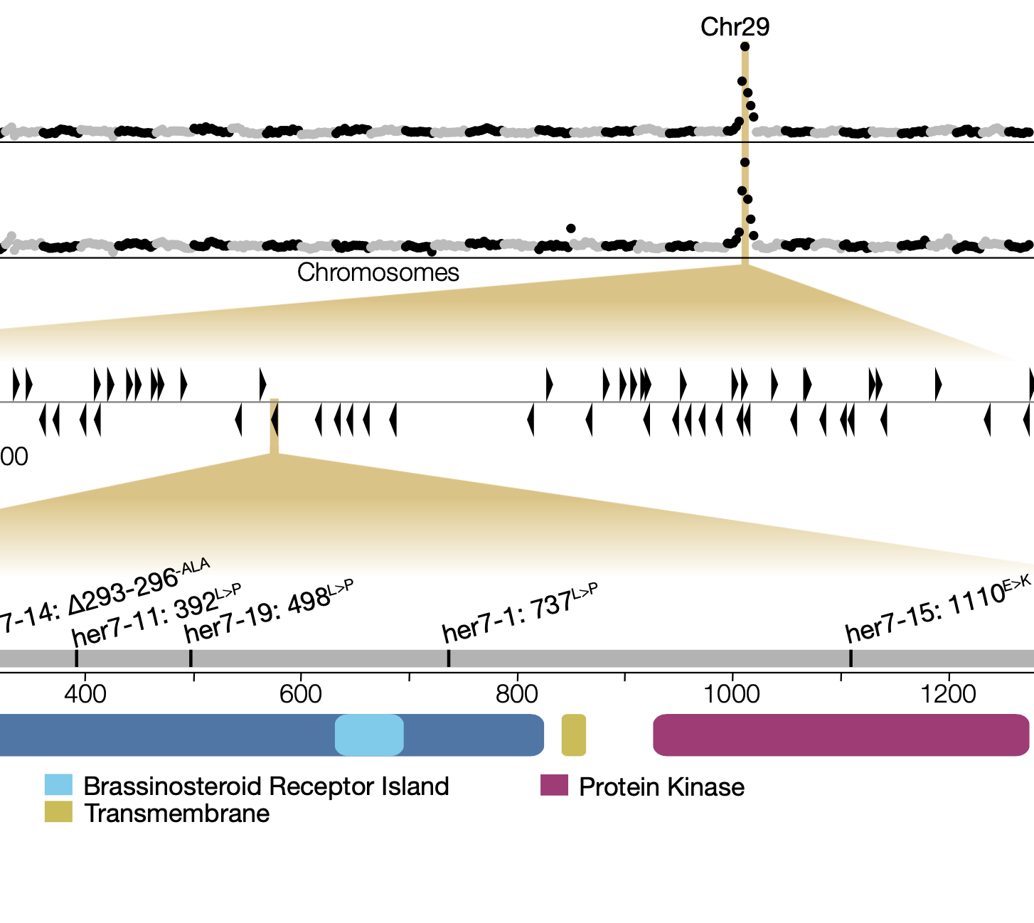figure from Burow et al. 2025